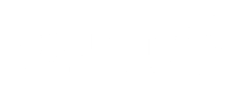kollektiv-shop.de